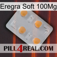 Eregra Soft 100Mg 24